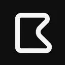 Braudit AI logo