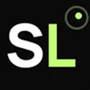 Staffing Leads logo