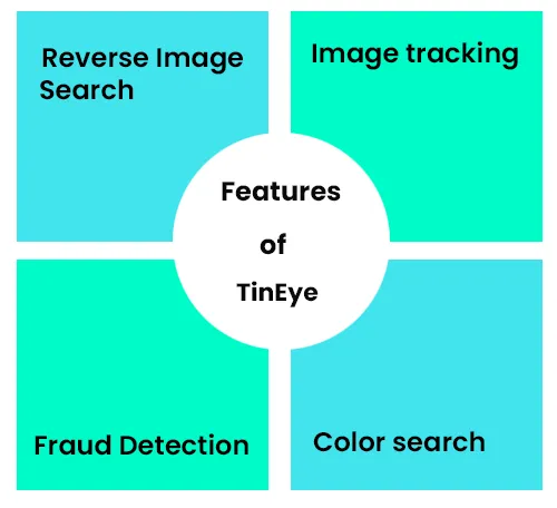 Tin Eye Reverse Image Search Features