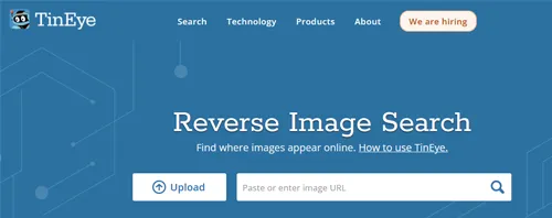 Advanced Image Search Made Easy: Explore TinEye's Features.
